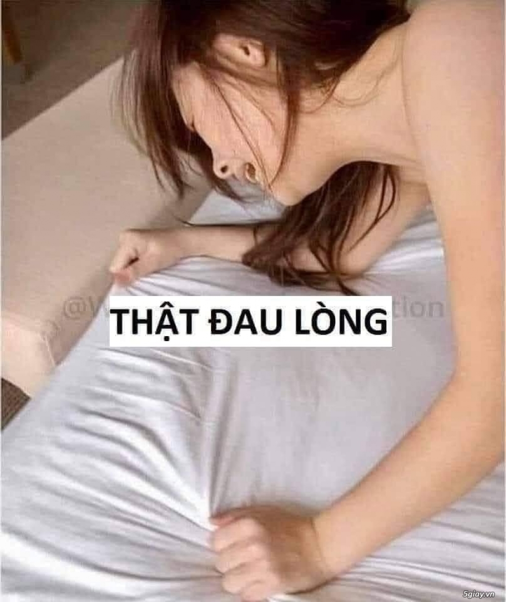Hình hài hước... Nhiều thể loại vui nhôn