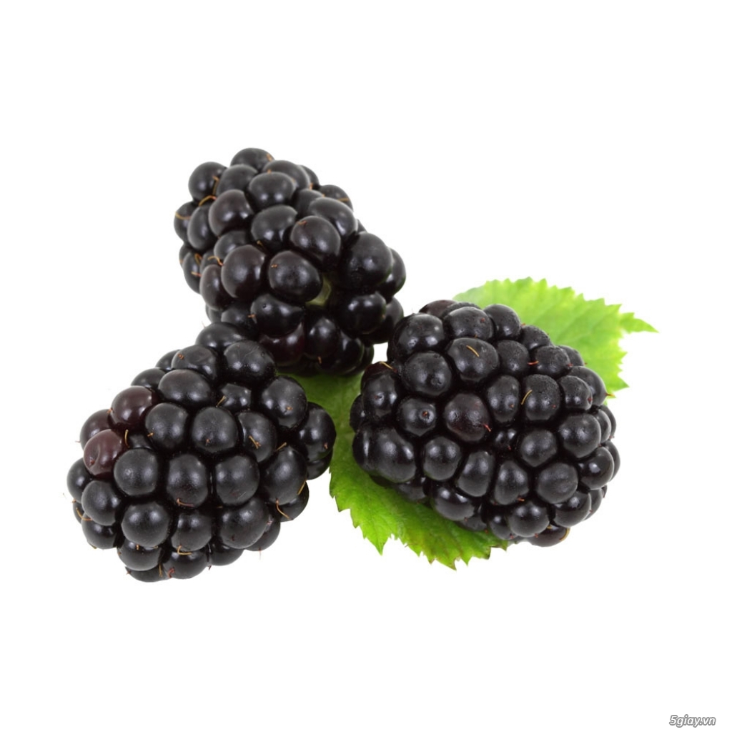 Quả phúc bồn tử là quả gì? Tác dụng và cách ngâm quả phúc bồn tử - 3