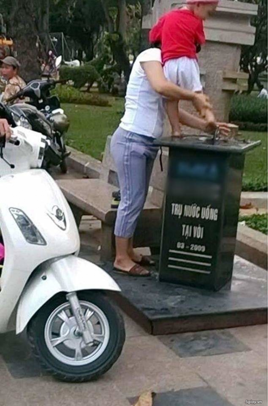 Hình hài hước... Nhiều thể loại vui nhôn