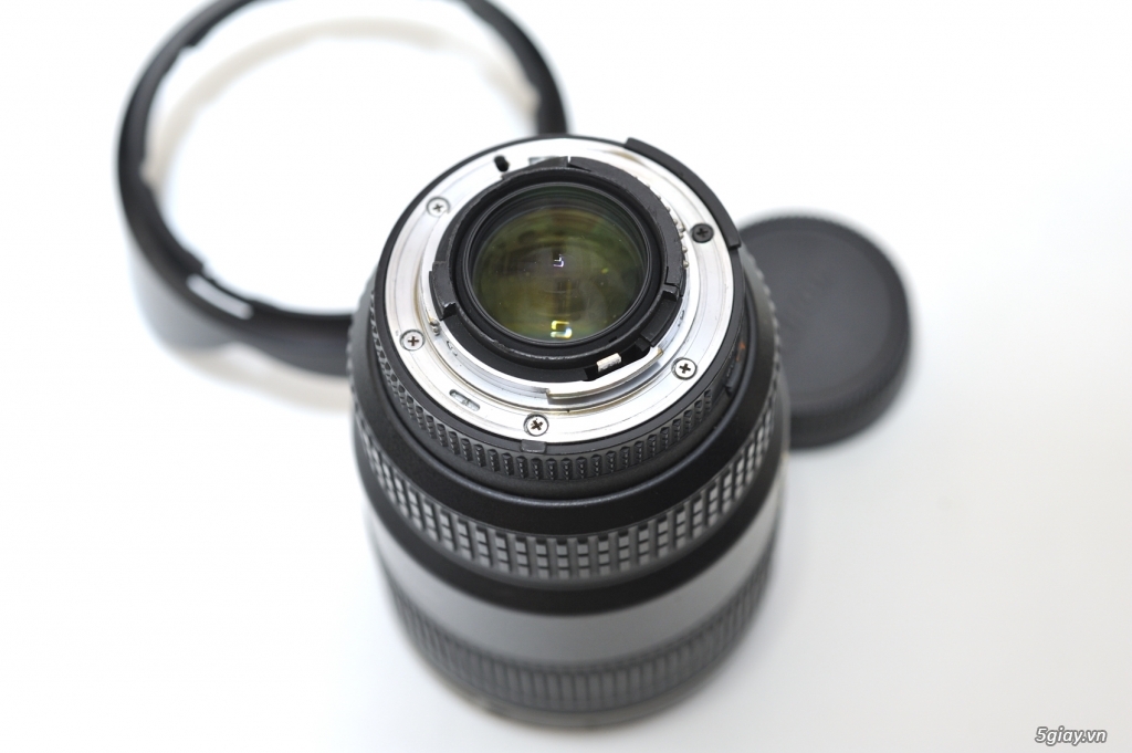 Leica M 90/2,Nikon 35/1.8G,Nikon 55-300mm DX VR - 13