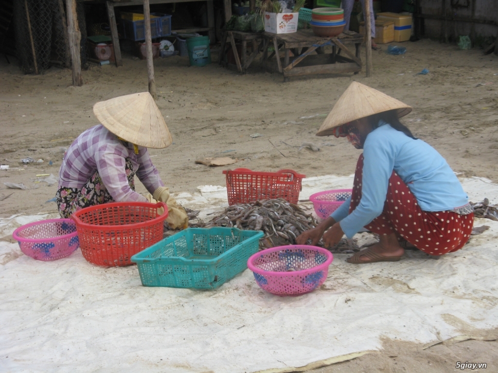 Hình hài hước... Nhiều thể loại vui nhôn - 7