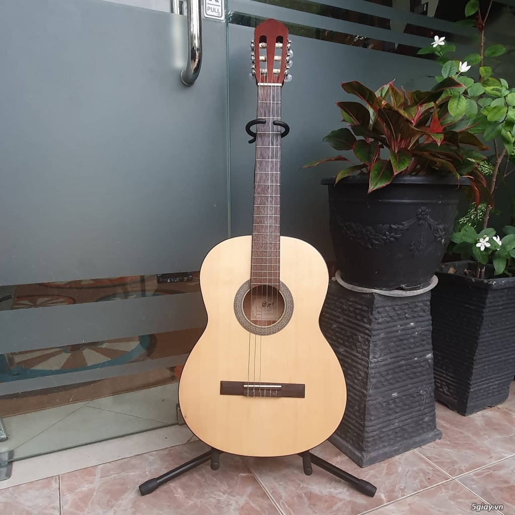 Đàn guitar Cort AC100 giá chỉ hơn 2 triệu - Duy Guitar Store - 1