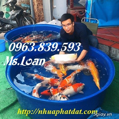 Thùng nhựa tròn 1000lit làm bể nuôi cá Koi./ 0963.839.593 Ms.Loan - 1