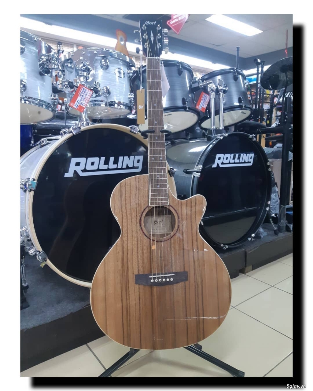 Đàn guitar Cort SFX-DAO made in Indonesia giá rẻ - 1