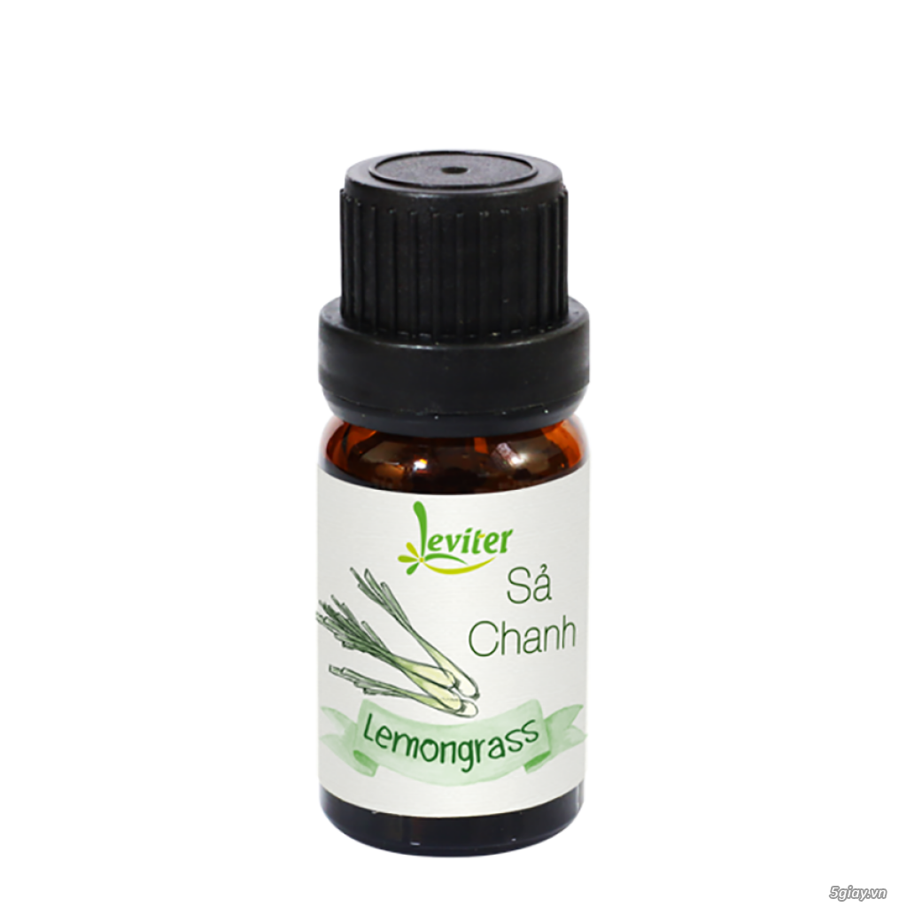 Tinh dầu sả chanh Leviter 10ml giúp giảm mệt mỏi, stress