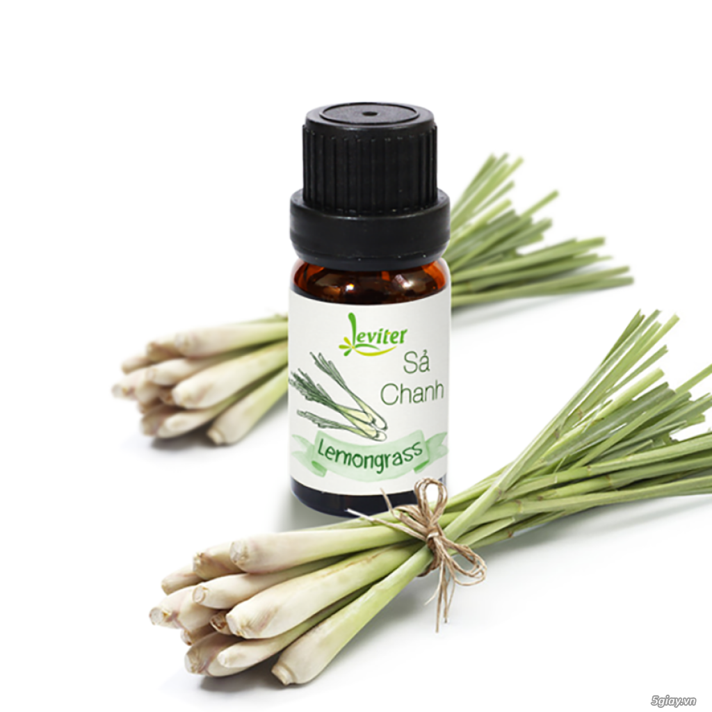 Tinh dầu sả chanh Leviter 10ml giúp giảm mệt mỏi, stress - 1