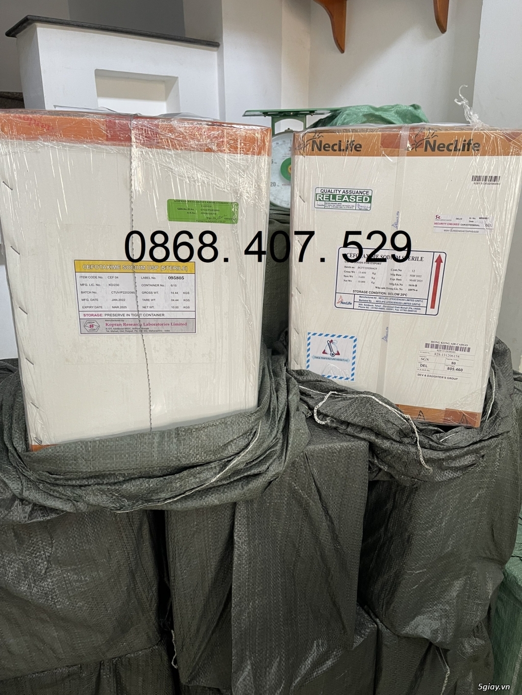 Kháng sinh thuỷ sản Cefotaxime Korpan 98% - 4