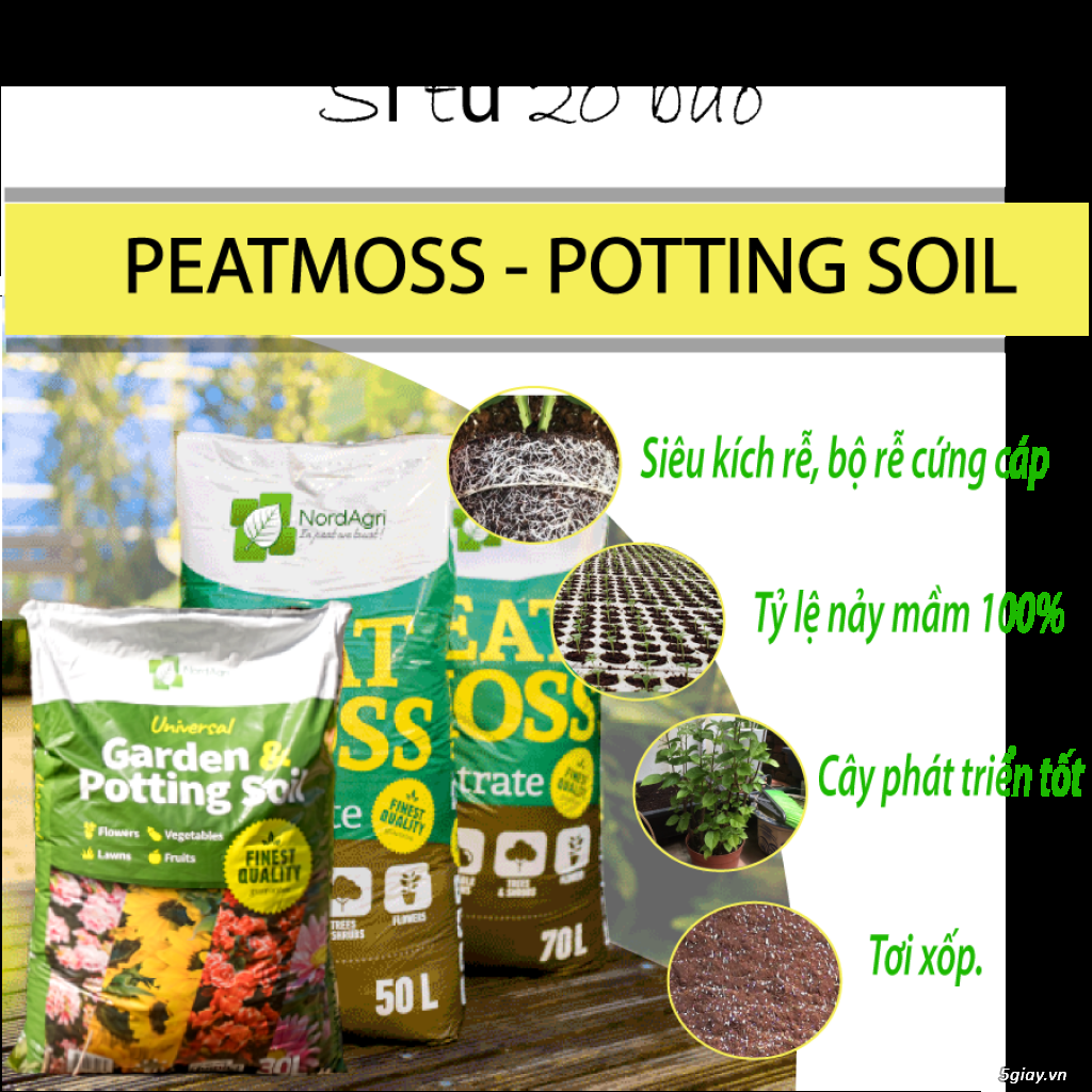 PEATMOSS Trộn Sẵn PERLITE - Potting Soil