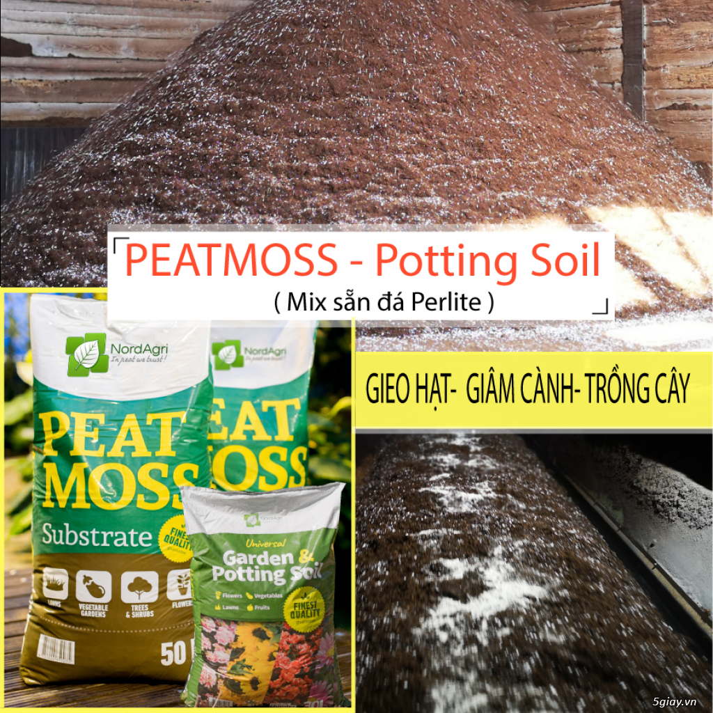 PEATMOSS Trộn Sẵn PERLITE - Potting Soil - 1