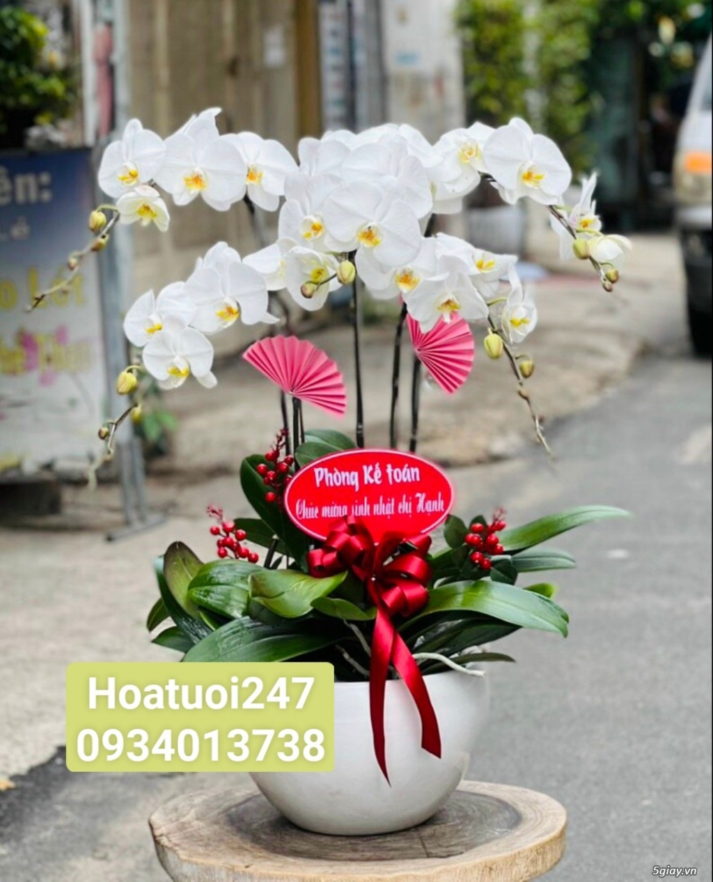 Shop hoa tươi lan hồ điệp tại quận 1 tphcm Lanhodiep247.com - 12