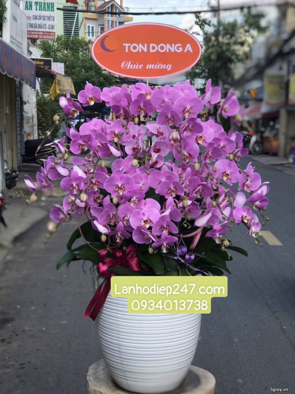 Shop hoa tươi lan hồ điệp quận 2 uy tín tphcm 0934013738 - 13