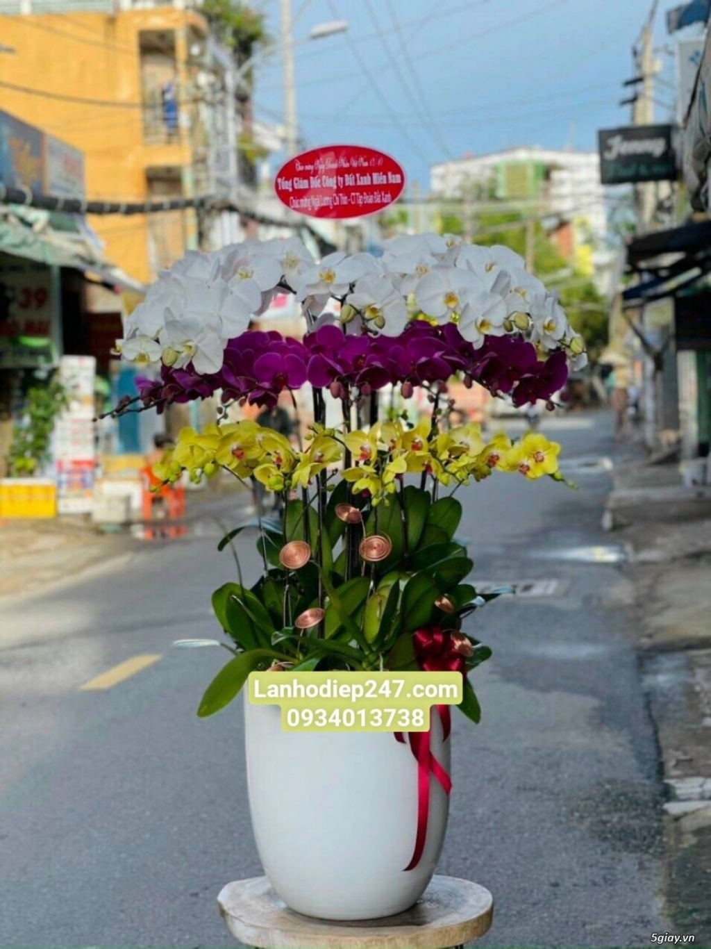 Shop hoa tươi lan hồ điệp quận Tân Bình tphcm 0934013738 - 2