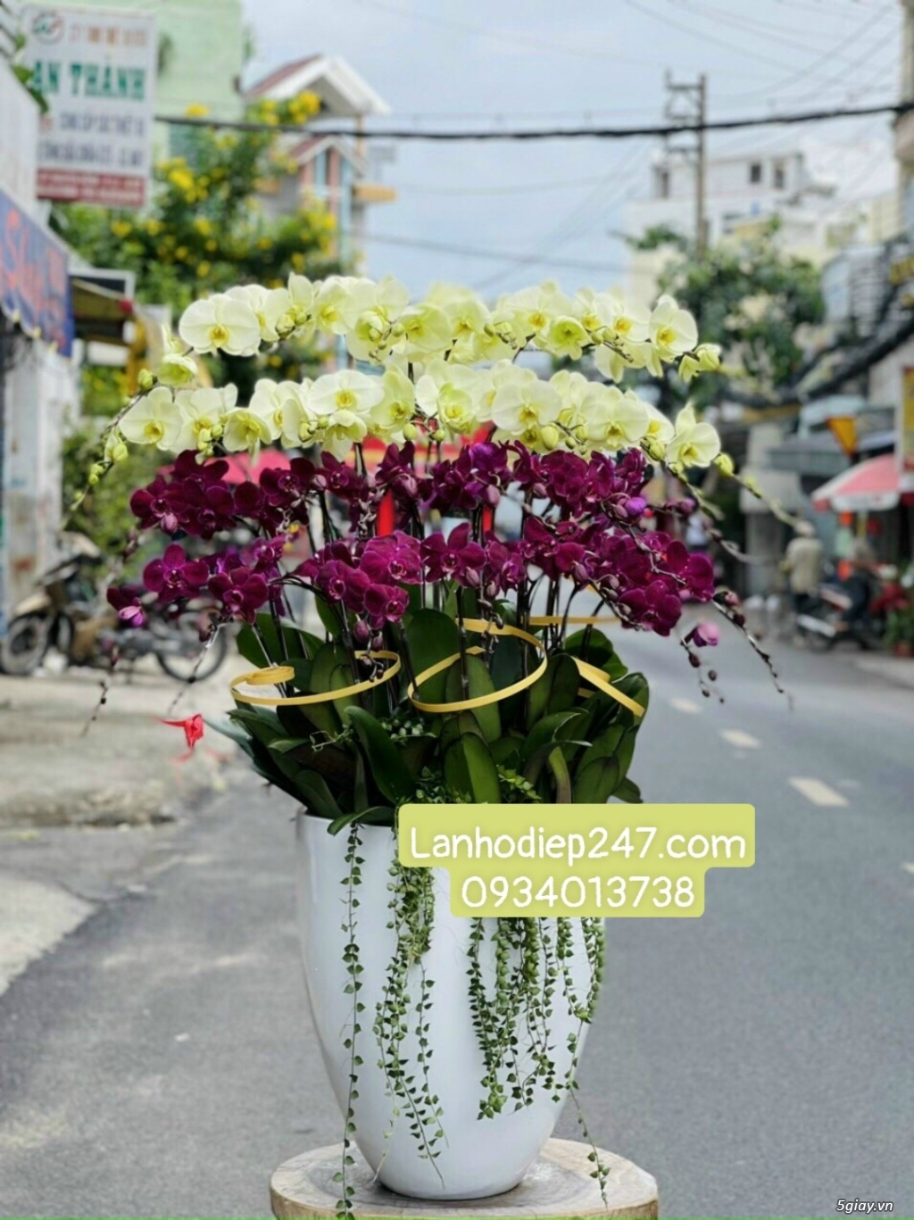 Shop hoa tươi lan hồ điệp tại quận 7 tphcm 0934013738 - 14
