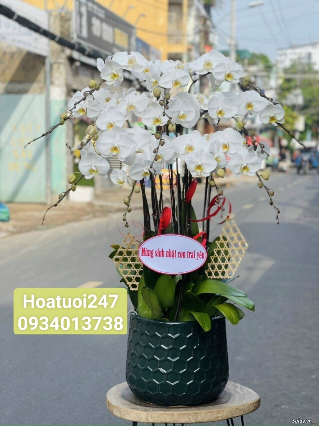 Shop hoa tươi lan hồ điệp quận Tân Bình tphcm 0934013738 - 1