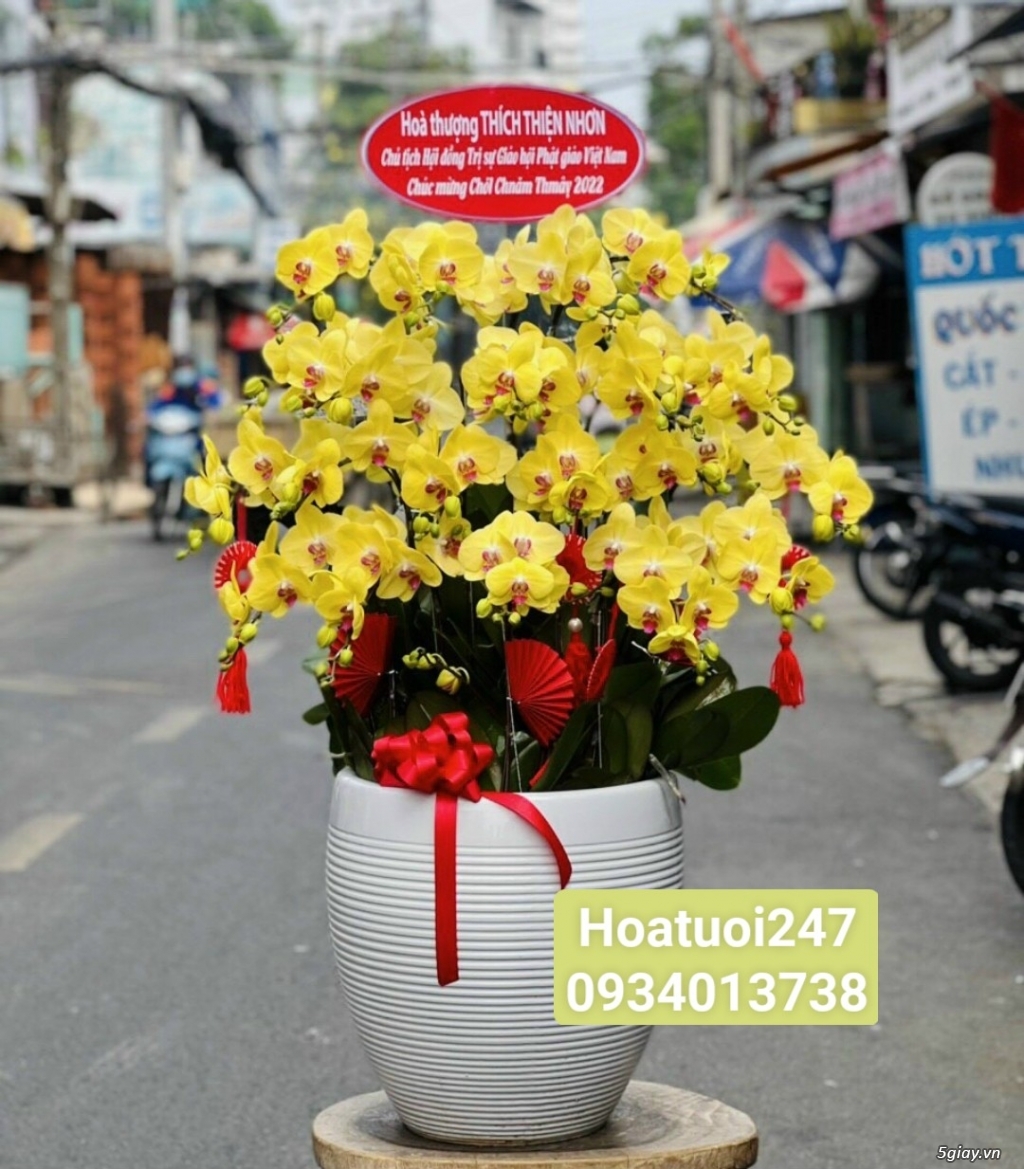 Shop hoa tươi lan hồ điệp tại quận 1 tphcm Lanhodiep247.com - 11