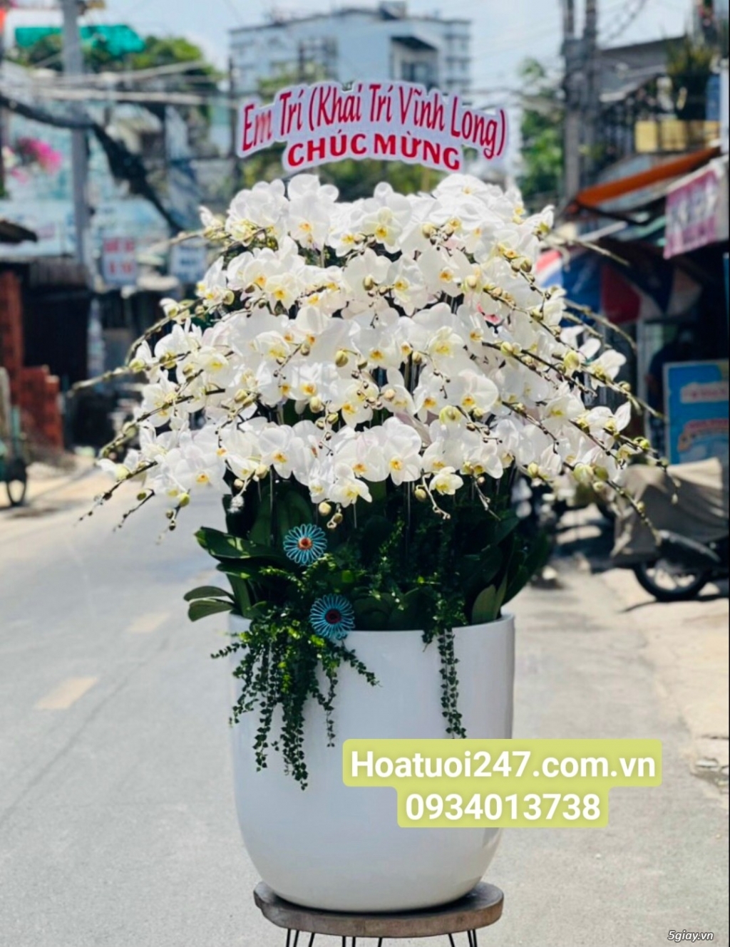 Shop hoa tươi lan hồ điệp quận Tân Bình tphcm 0934013738 - 3