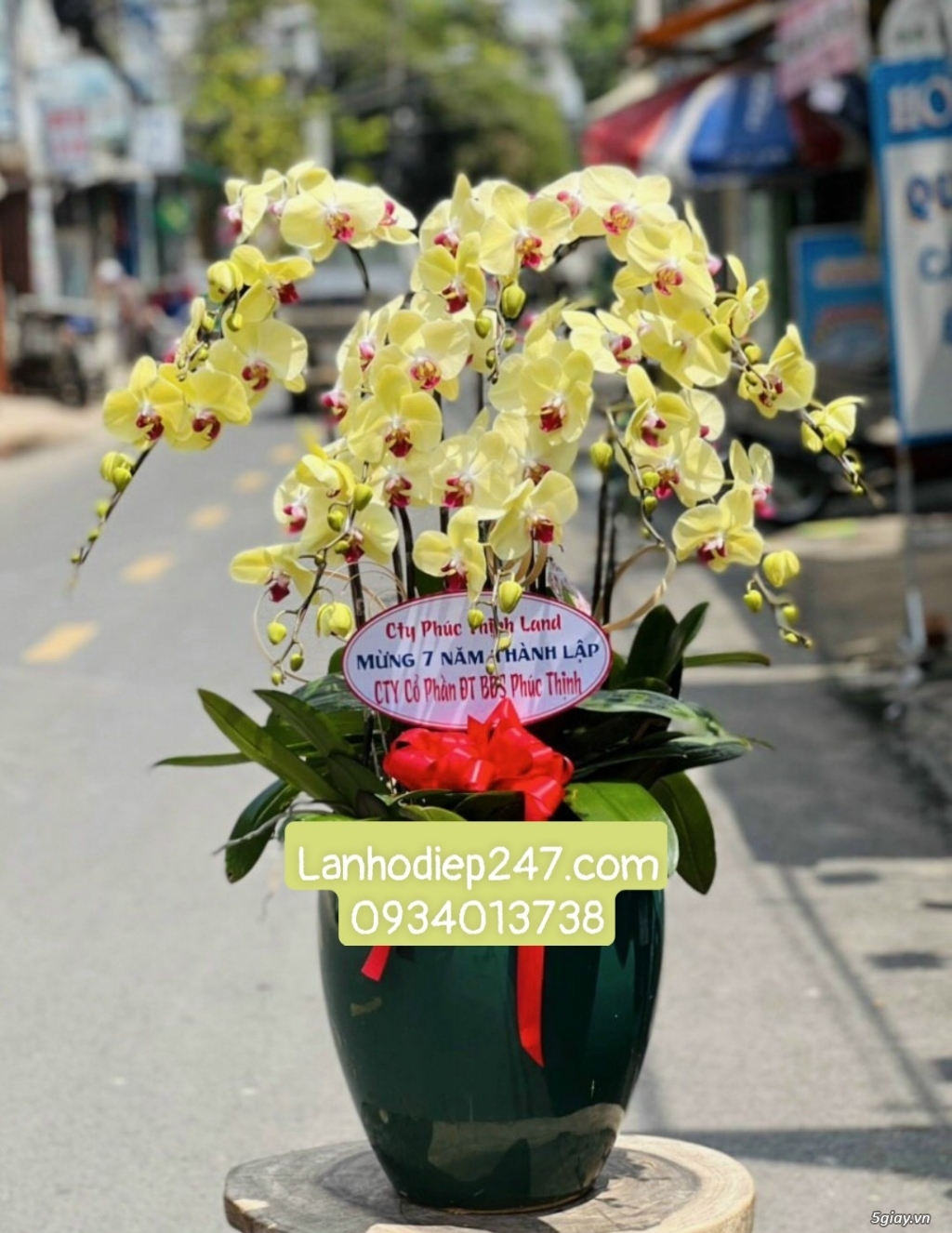 Shop hoa tươi lan hồ điệp quận 2 uy tín tphcm 0934013738 - 14