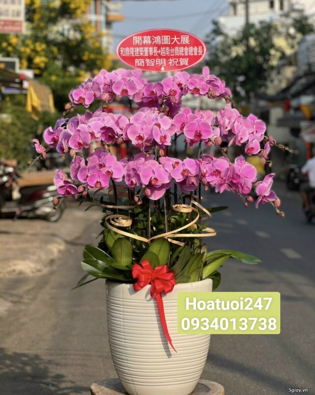 Shop hoa tươi lan hồ điệp quận Tân Bình tphcm 0934013738