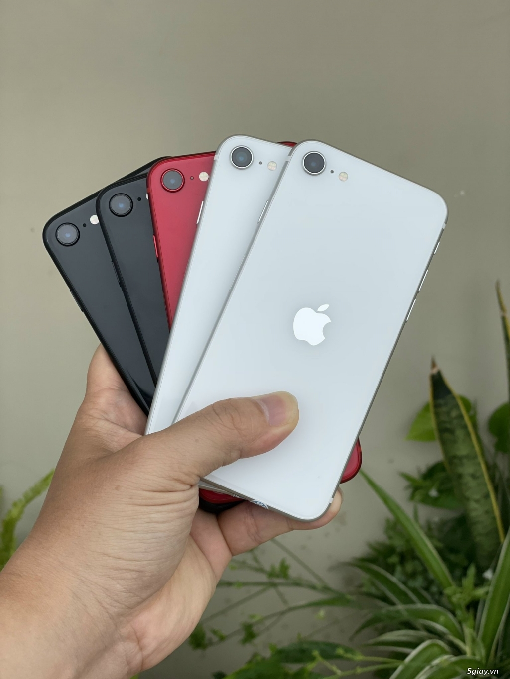 HCM iPhone SE2020 128GB Zin100% Pin9X BH dài 2022
