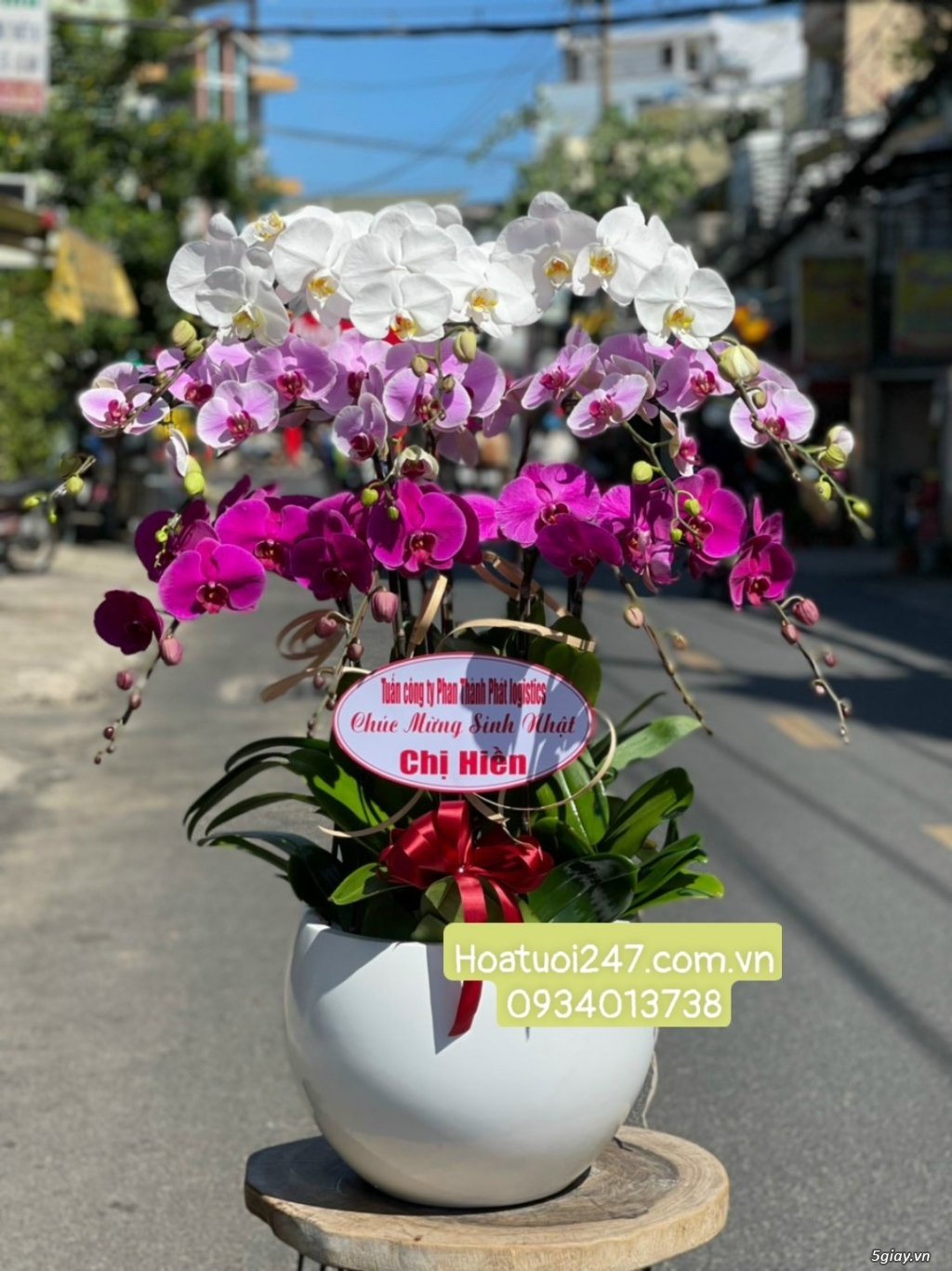 Shop hoa tươi Lan Hồ Điệp tại Thuận An Bình Dương 0934013738 - 13