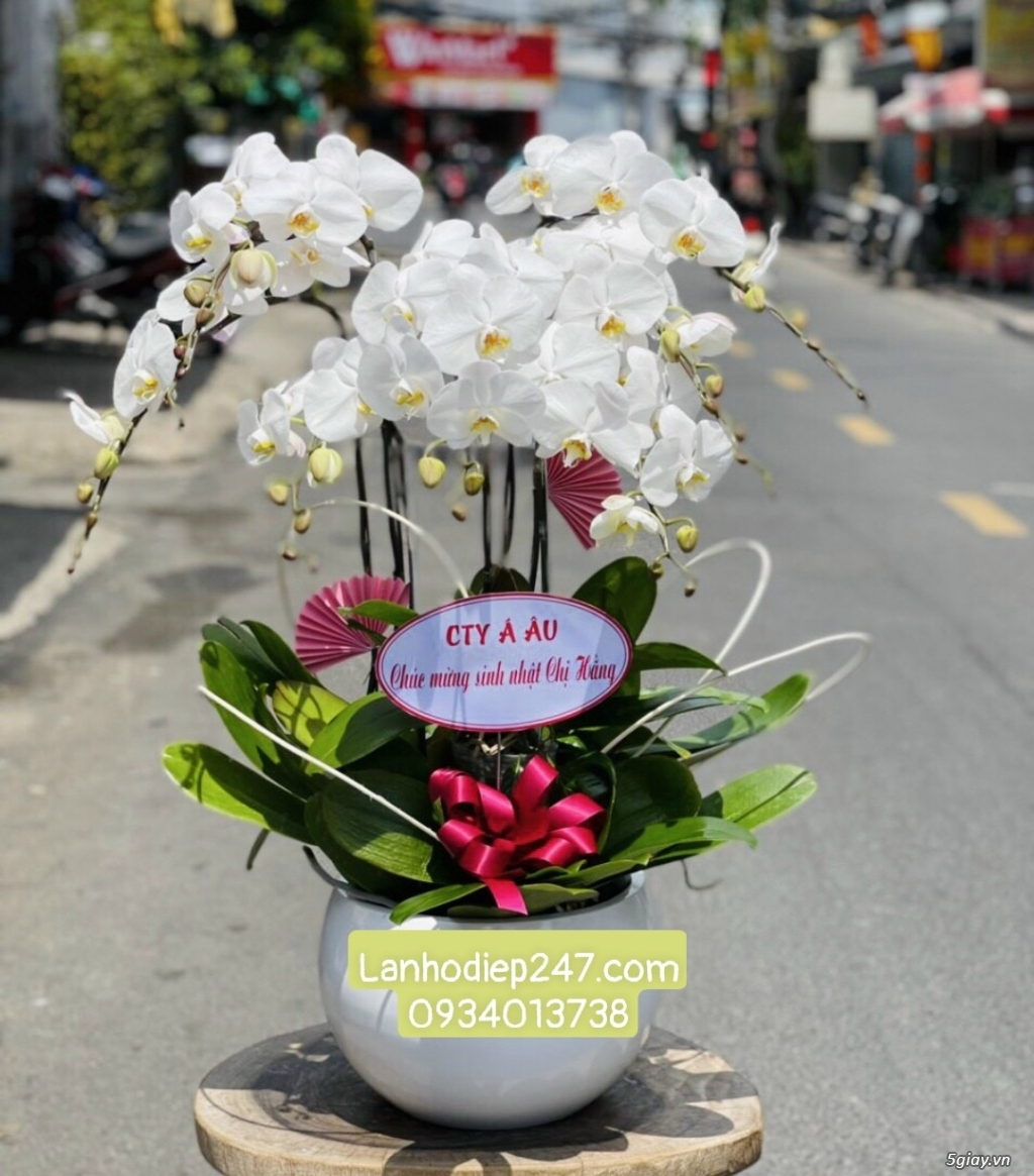 Shop hoa tươi Lan Hồ điệp 247 tại Đắc Lắk 0934013738 - 10