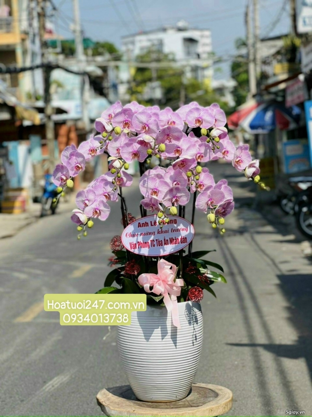Vườn hoa tươi Lan Hồ Điệp 247 ấn tượng giữa lòng Sài Gòn - 3