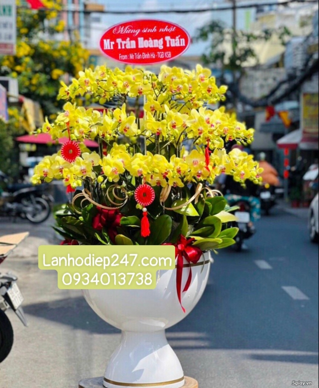 Shop hoa tươi Lan Hồ Điệp 247 tại Đức Hòa Long An 0934013738 - 14