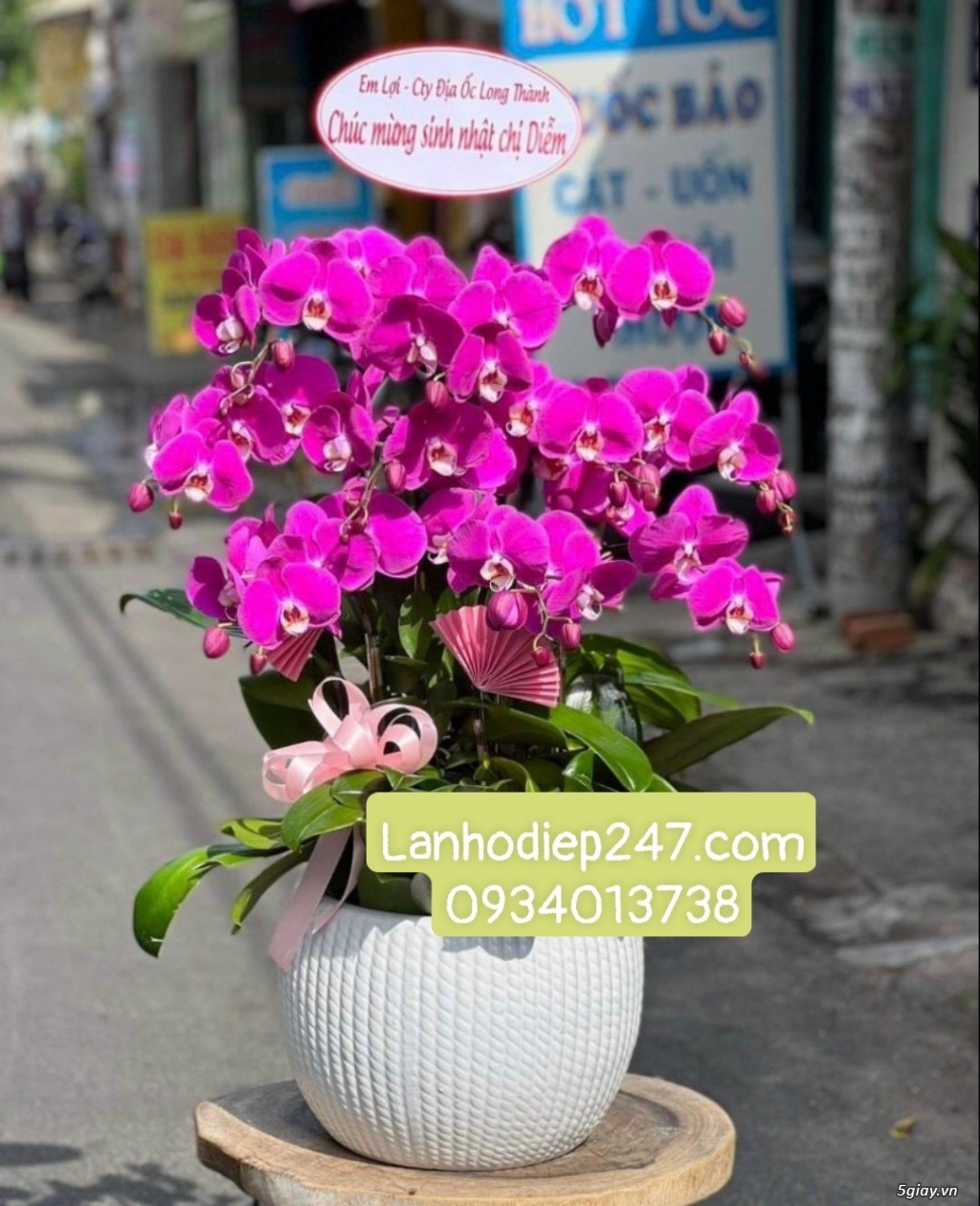 Shop hoa tươi 247 chuyên cung cấp lan hồ điệp tại tphcm 0934013738 - 3