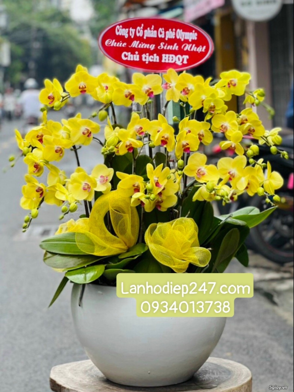 Shop hoa tươi Lan Hồ Điệp 247 tại Quy Nhơn 0934013738 - 13