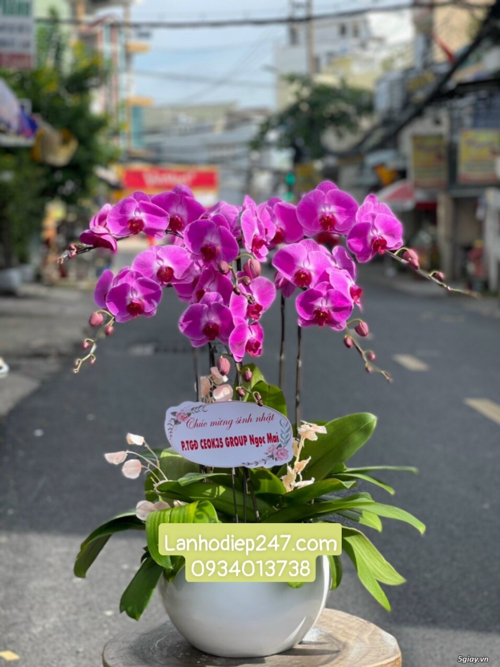 Shop hoa tươi Lan Hồ Điệp 247 tại Quy Nhơn 0934013738 - 12