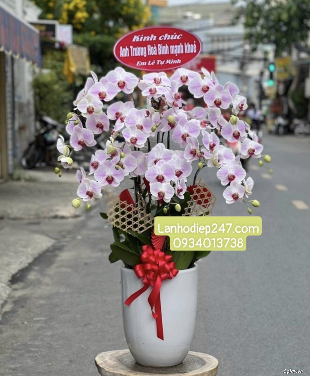 Shop hoa tươi lan hồ điệp 247 tại Thủ Dầu Một Bình Dương 0934013738 - 12