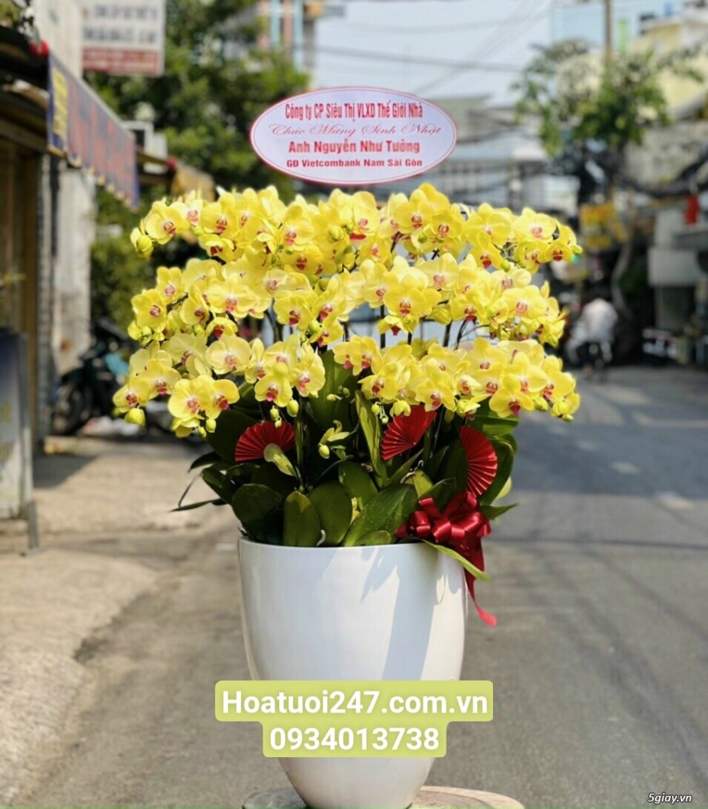 Shop hoa tươi lan hồ điệp tại Biên Hòa Đồng Nai 0934013738 - 2