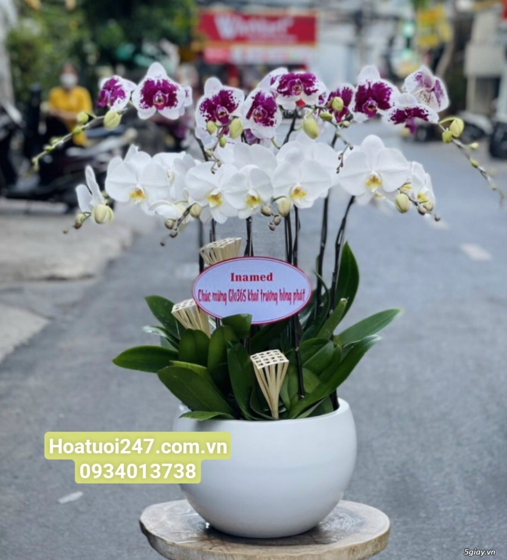 Shop hoa tươi lan hồ điệp tại Biên Hòa Đồng Nai 0934013738