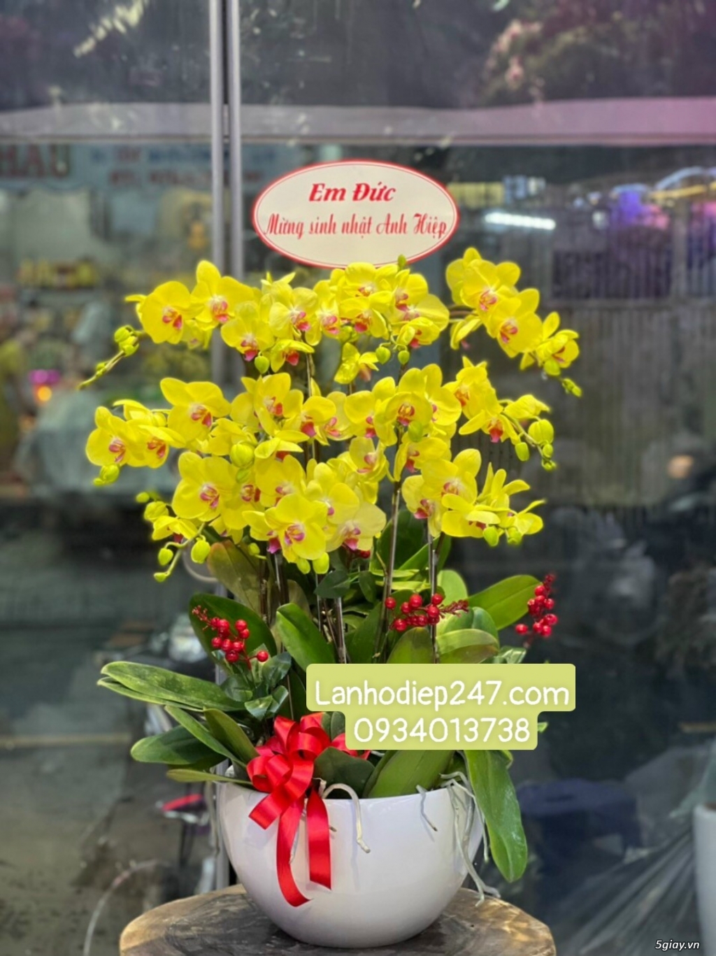 Shop hoa tươi 247 chuyên cung cấp lan hồ điệp tại tphcm 0934013738 - 4