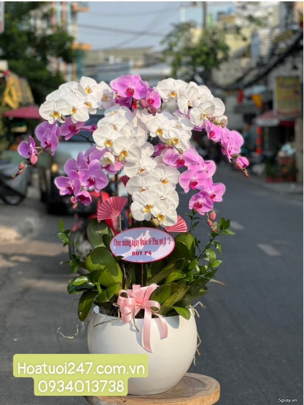 Vườn hoa tươi Lan Hồ Điệp 247 ấn tượng giữa lòng Sài Gòn
