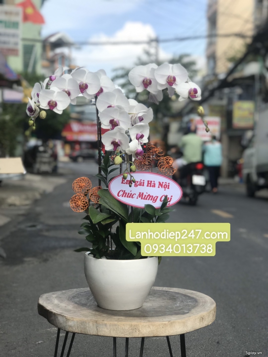 Shop hoa tươi lan hồ điệp 247 tại Đà Nẵng 0934013738 - 14