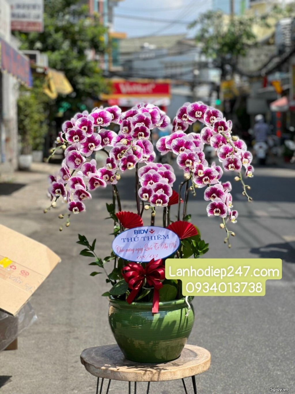 Shop hoa tươi Lan Hồ Điệp 247 tại Quy Nhơn 0934013738 - 14