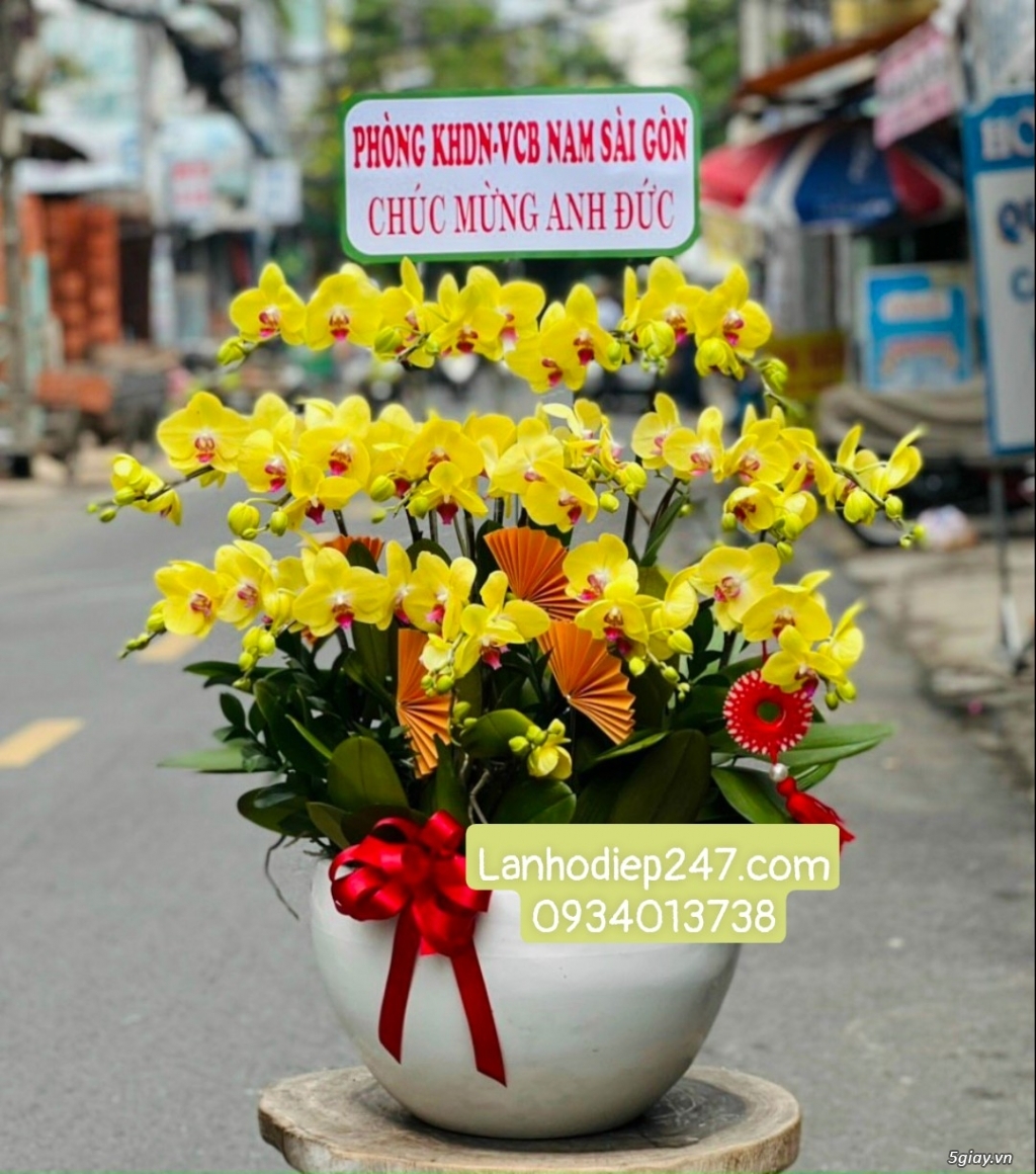 Shop hoa tươi Lan Hồ Điệp 247 tại Bà Rịa Vũng Tàu 0934013738 - 10