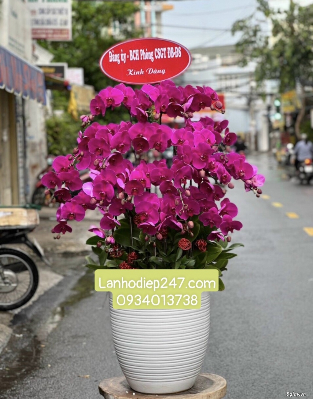 Shop hoa tươi Lan Hồ Điệp tại Thuận An Bình Dương 0934013738 - 12