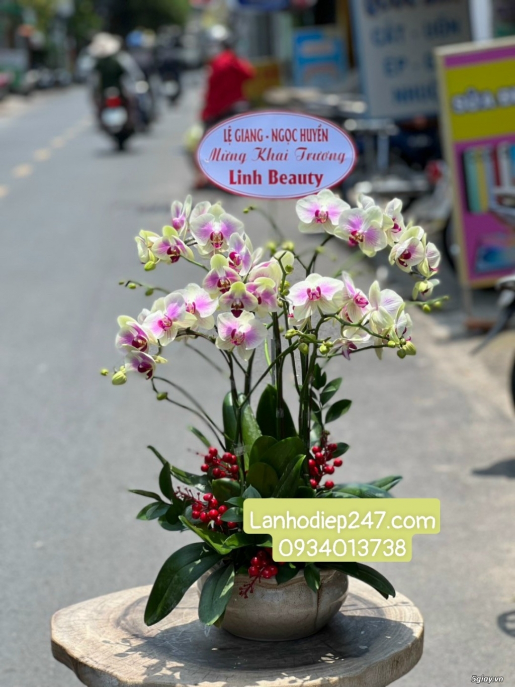 Shop Lan Hồ Điệp Sài Gòn 247 điện hoa uy tín toàn quốc 0934013738 - 12