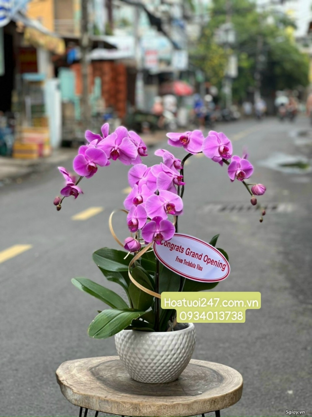 Vườn hoa tươi Lan Hồ Điệp 247 ấn tượng giữa lòng Sài Gòn - 4