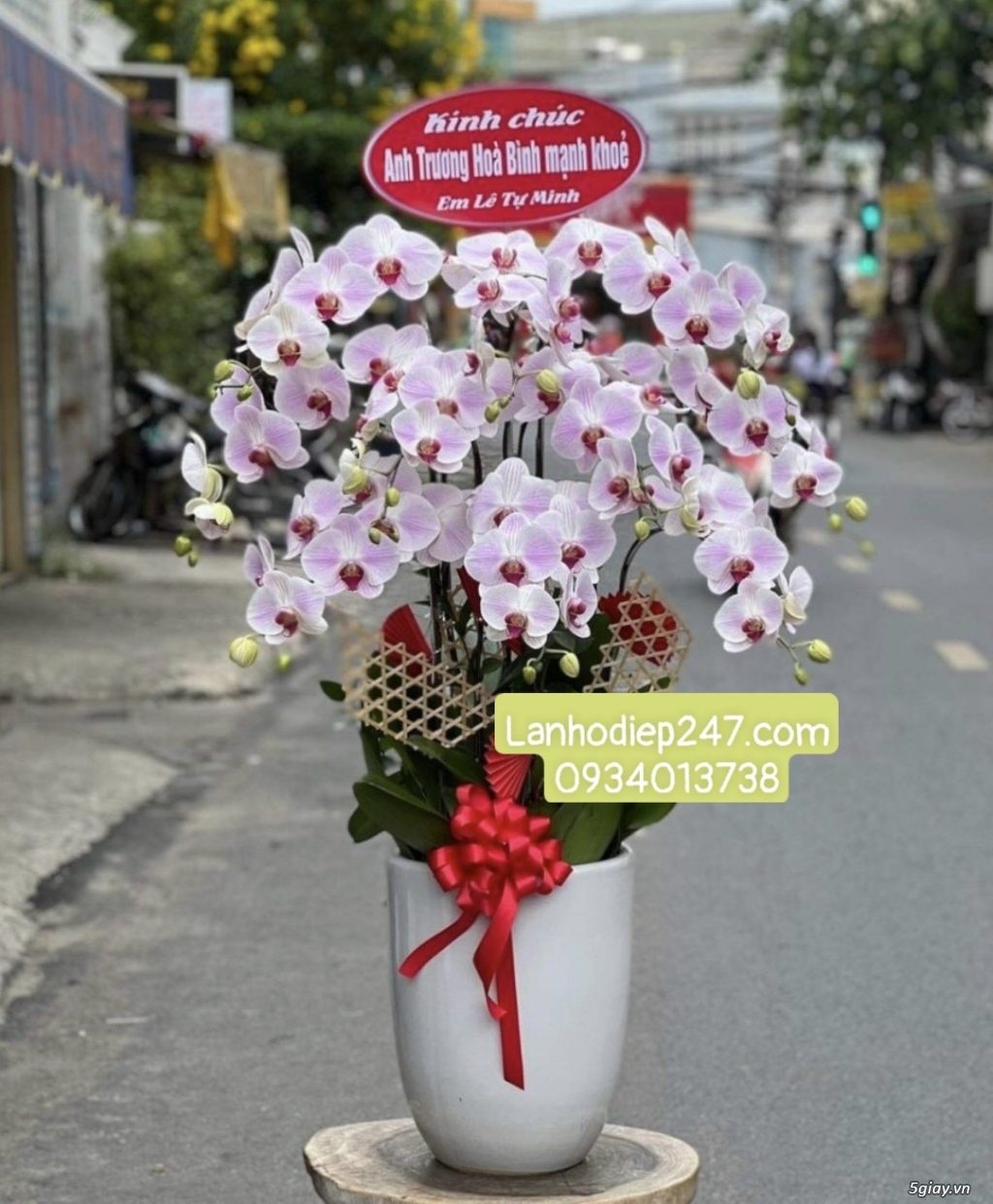 Shop hoa tươi lan hồ điệp 247 tại Dĩ An Bình Dương - 13