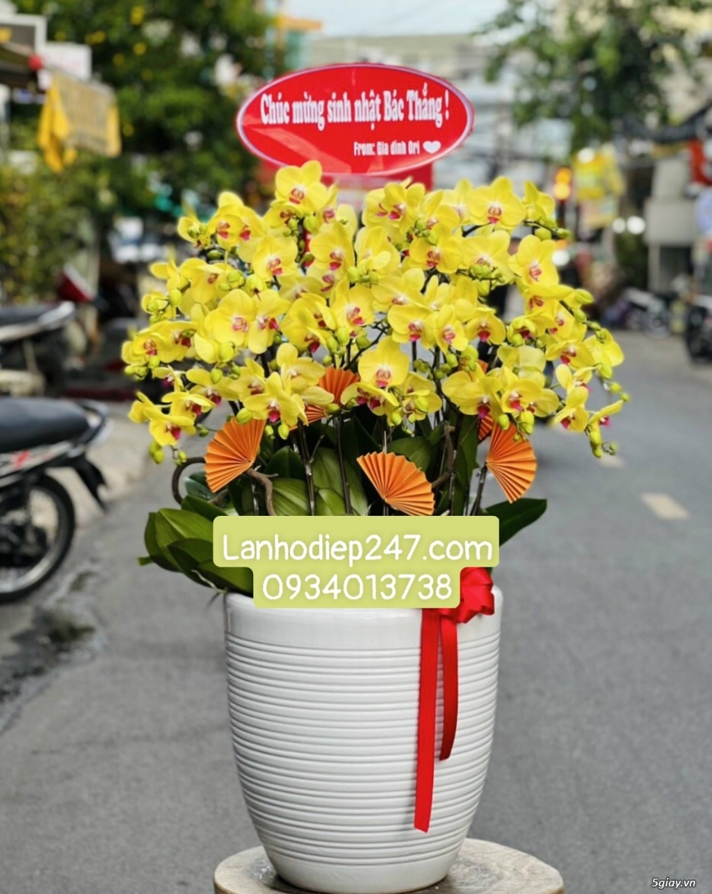 Shop hoa tươi lan hồ điệp 247 tại Gò Vấp 0934013738 - 12
