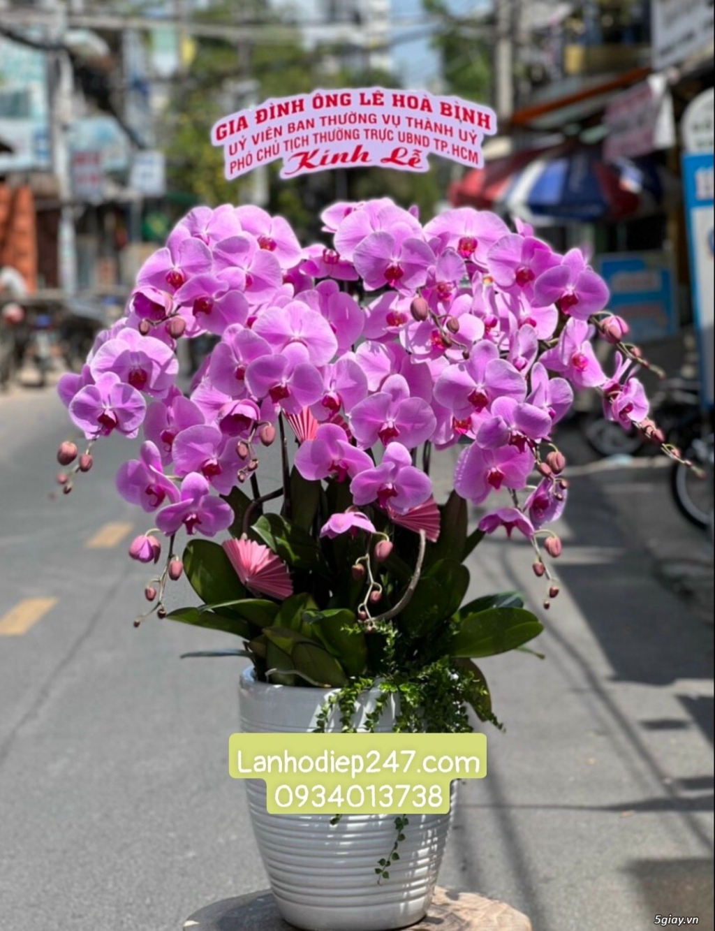 Shop hoa tươi Lan Hồ điệp 247 tại Đắc Lắk 0934013738 - 13