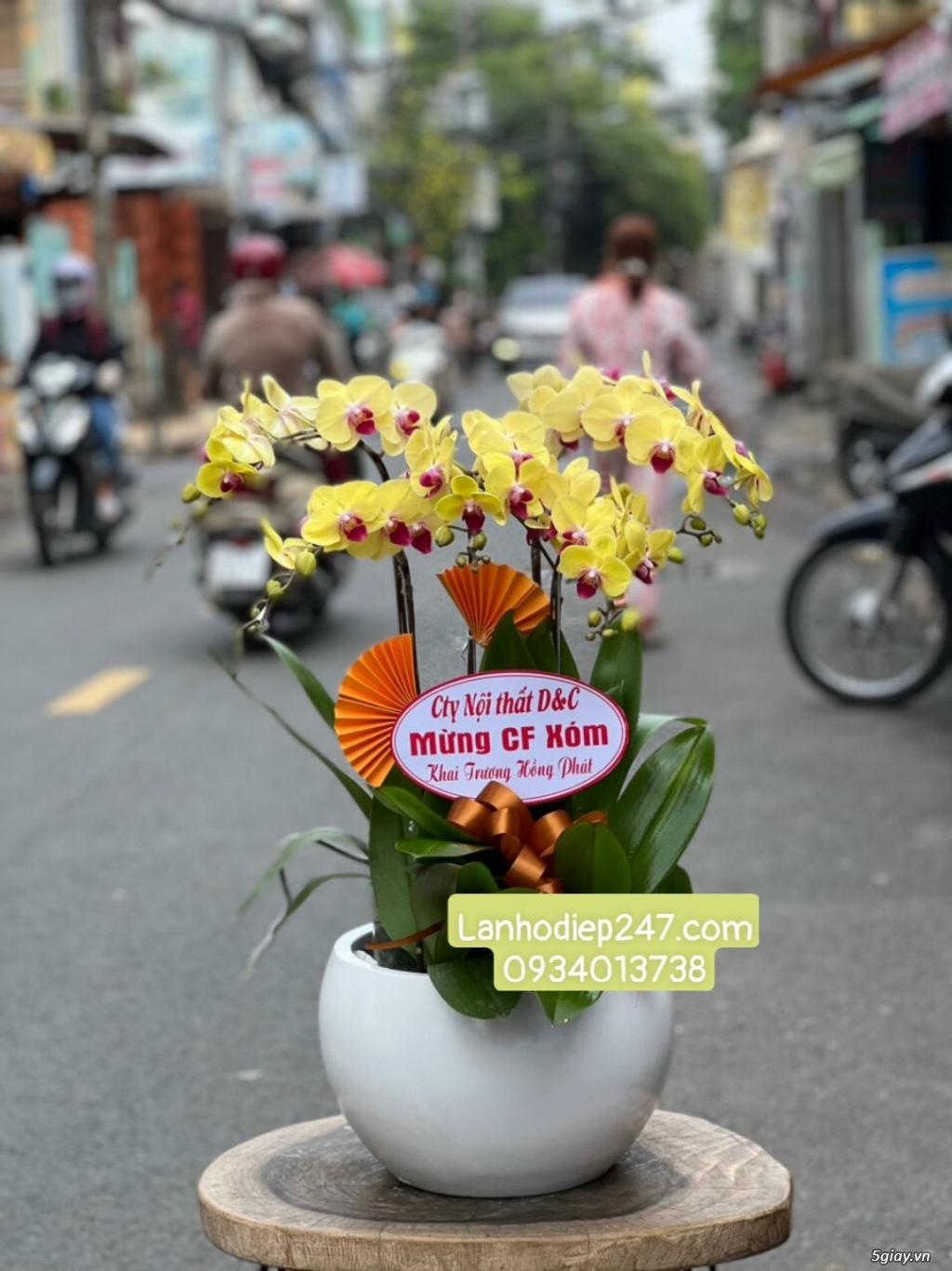 Shop Lan Hồ Điệp Sài Gòn 247 điện hoa uy tín toàn quốc 0934013738 - 11