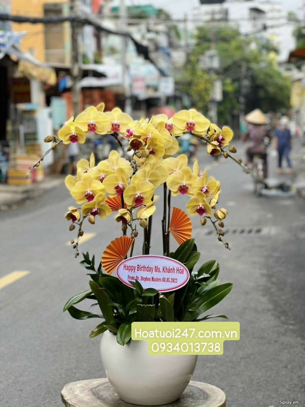 Vườn hoa tươi Lan Hồ Điệp 247 ấn tượng giữa lòng Sài Gòn - 1