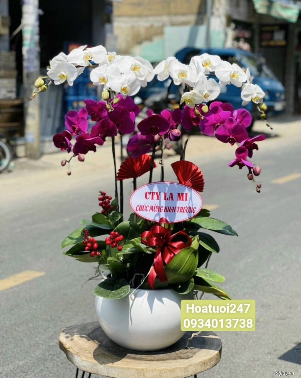 Shop hoa tươi Lan Hồ Điệp 247 tại Tân An Long An - 10