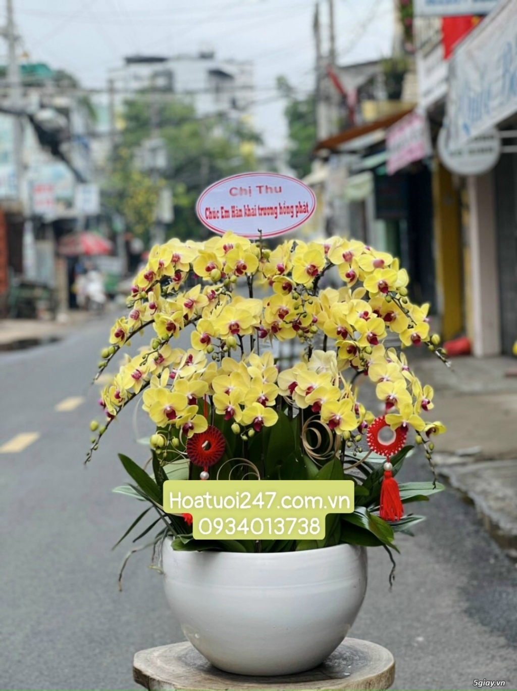 Vườn hoa tươi Lan Hồ Điệp 247 ấn tượng giữa lòng Sài Gòn - 2