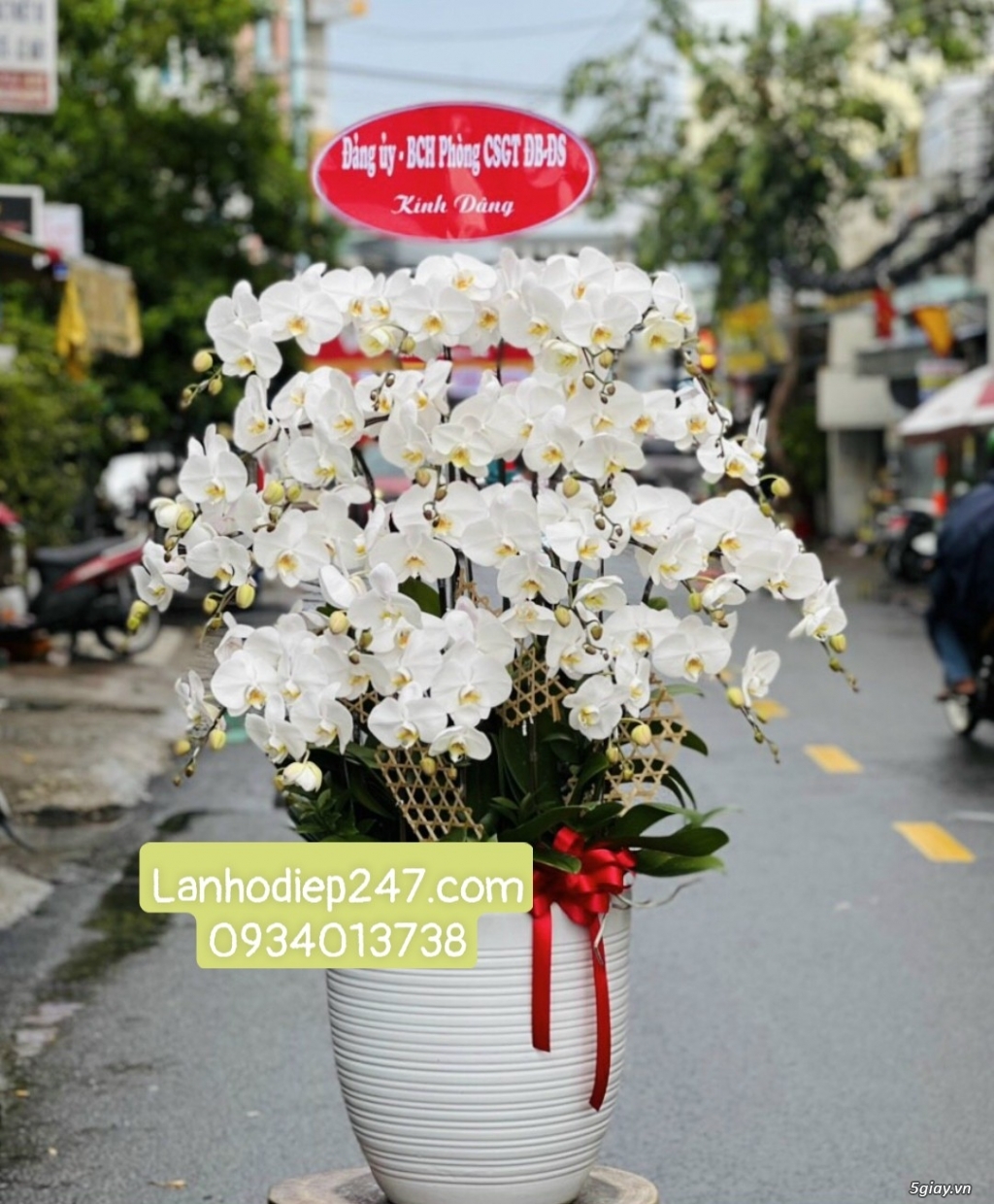 Shop hoa tươi Lan Hồ Điệp tại Thuận An Bình Dương 0934013738 - 11