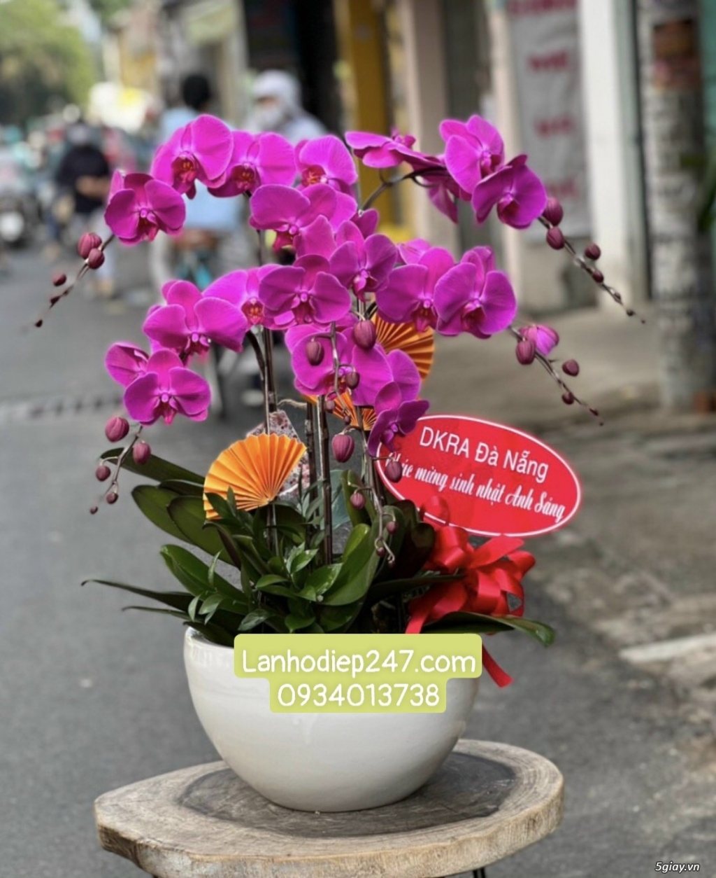 Shop hoa tươi Lan Hồ Điệp tại Thuận An Bình Dương 0934013738 - 10
